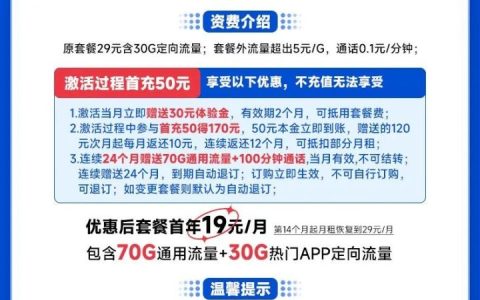 电信梅花卡 19元月租包100G流量+100分钟