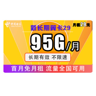 电信大流量卡29元套餐资费详情 每月流量95G-1