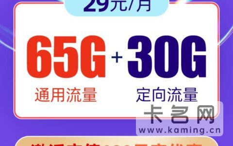 办流量卡办哪种比较好2022  最划算的电话卡套餐推荐