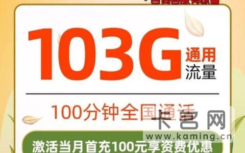 流量多的手机卡推荐2022 每月流量至少100G