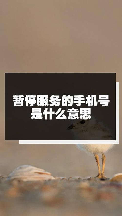 暂停服务的手机号是什么意思？
