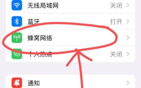 苹果双卡如何设置流量用哪个卡？