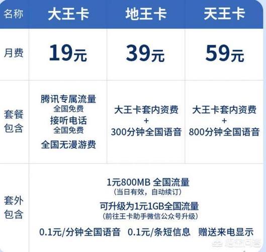 电信19元大王卡申请入口，办理流程与注意事项