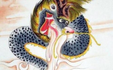 76年属龙用什么手机号好？看完这篇文章就知道了