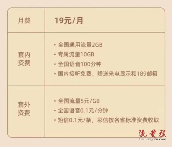 电信大王卡19元套餐：低价高性价比，满足基础通信需求