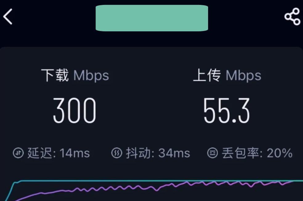 现在最快的网速是多少兆？