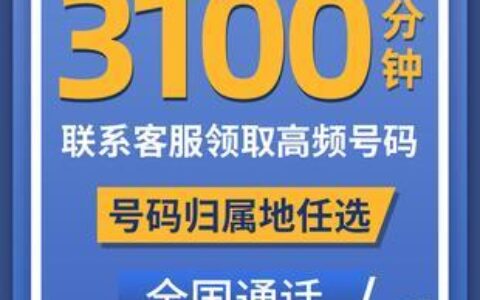 纯通话电话卡：通话达人必备