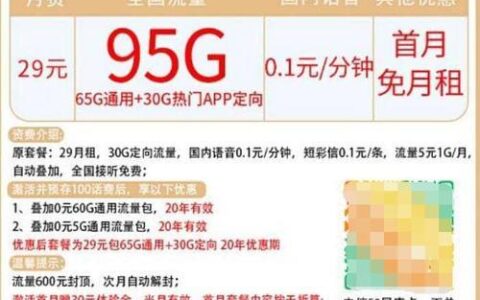 29元95G电信流量卡：超值套餐，满足你多样需求