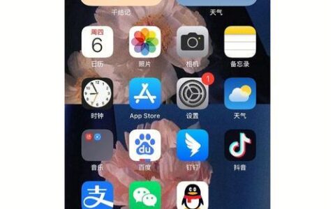 手机信号显示1x是怎么回事？