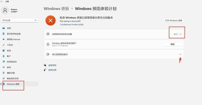 Win11Dev如何取消预览？