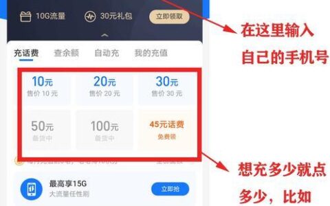 如何轻松缴纳10元话费：详细教程及多种方法