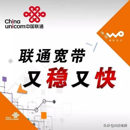 20兆宽带够几个人用？