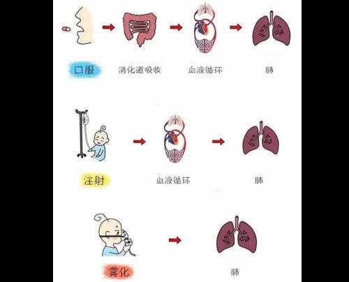 给药途径吸收速度最快的是？